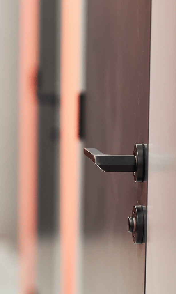 Professional Entry Door Lock Replacement Services